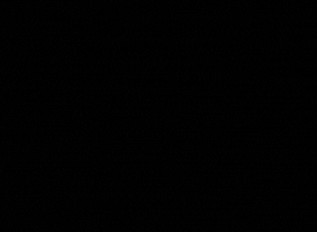 RS GIF